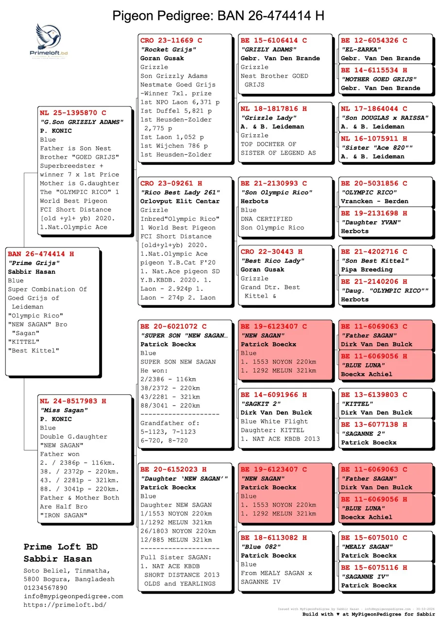 Sample pedigree: BAN 26-474414 H